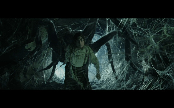 The Lord of the Rings The Return of the King - 813