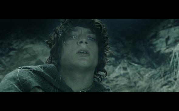 The Lord of the Rings The Return of the King - 818