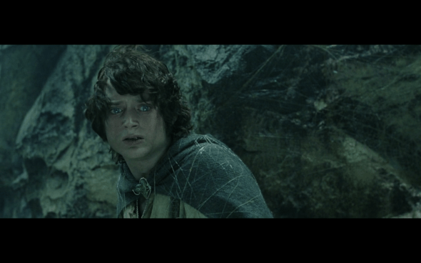 The Lord of the Rings The Return of the King - 820