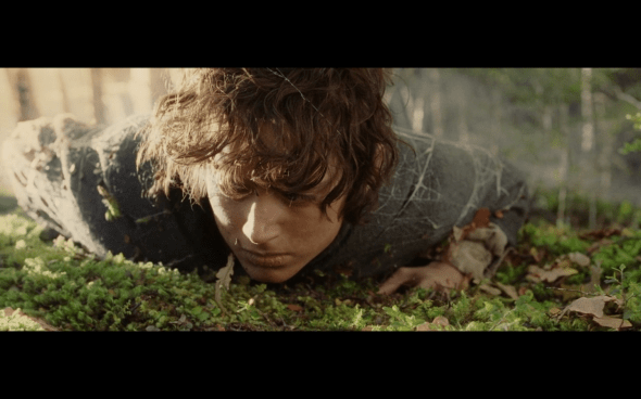 The Lord of the Rings The Return of the King - 833