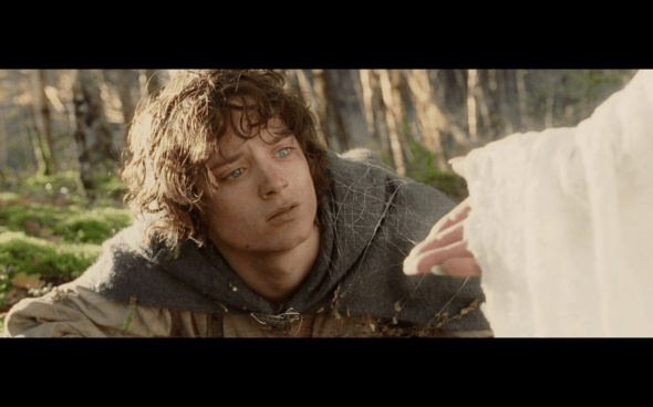 The Lord of the Rings The Return of the King - 836