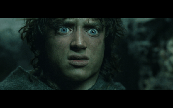 The Lord of the Rings The Return of the King - 883