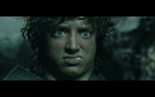 The Lord of the Rings The Return of the King - 884