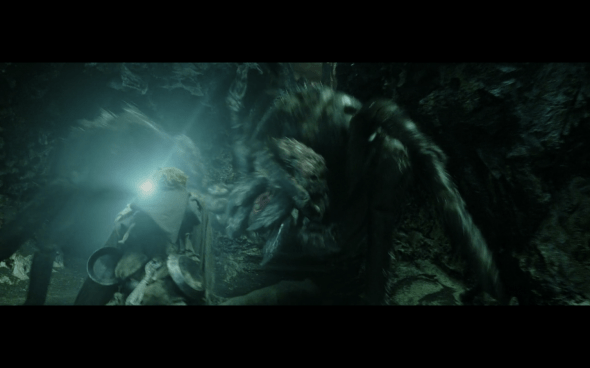 The Lord of the Rings The Return of the King - 895