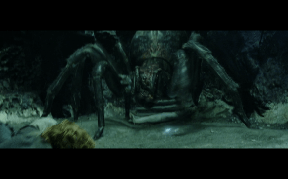 The Lord of the Rings The Return of the King - 898