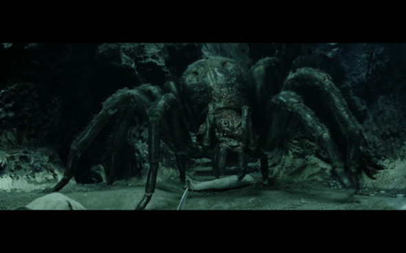 The Lord of the Rings The Return of the King - 899