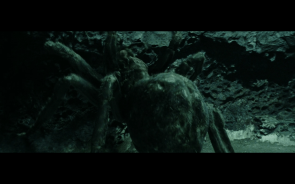 The Lord of the Rings The Return of the King - 901