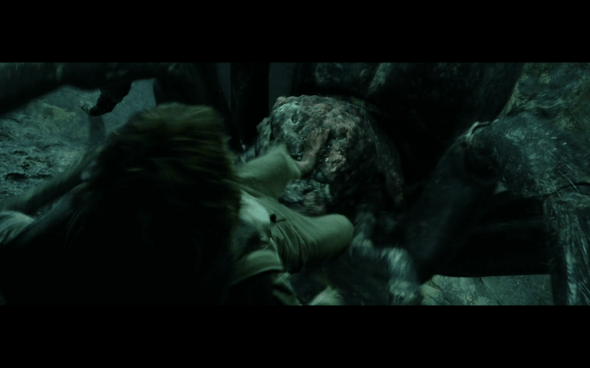 The Lord of the Rings The Return of the King - 904