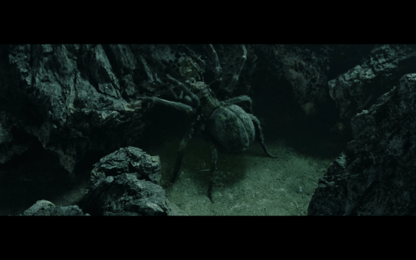 The Lord of the Rings The Return of the King - 906