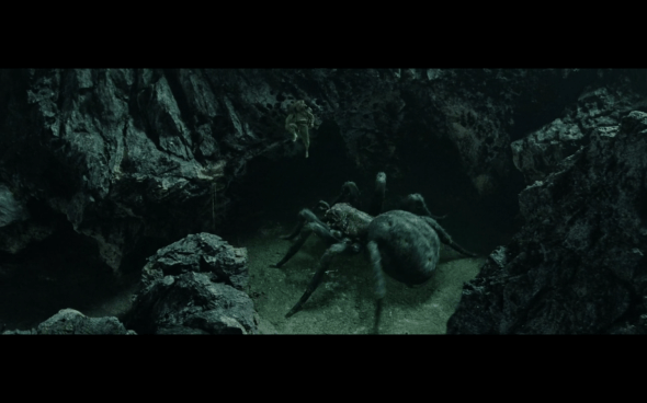 The Lord of the Rings The Return of the King - 907