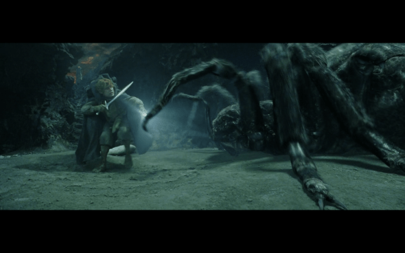 The Lord of the Rings The Return of the King - 924