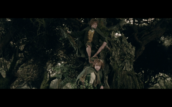 The Lord of the Rings The Two Towers - 1119