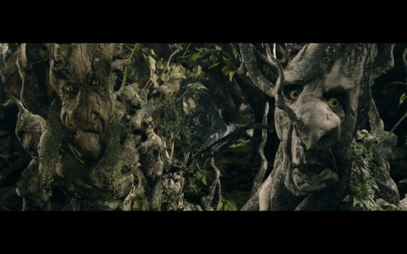 The Lord of the Rings The Two Towers - 1128