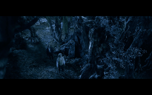 The Lord of the Rings The Two Towers - 1332