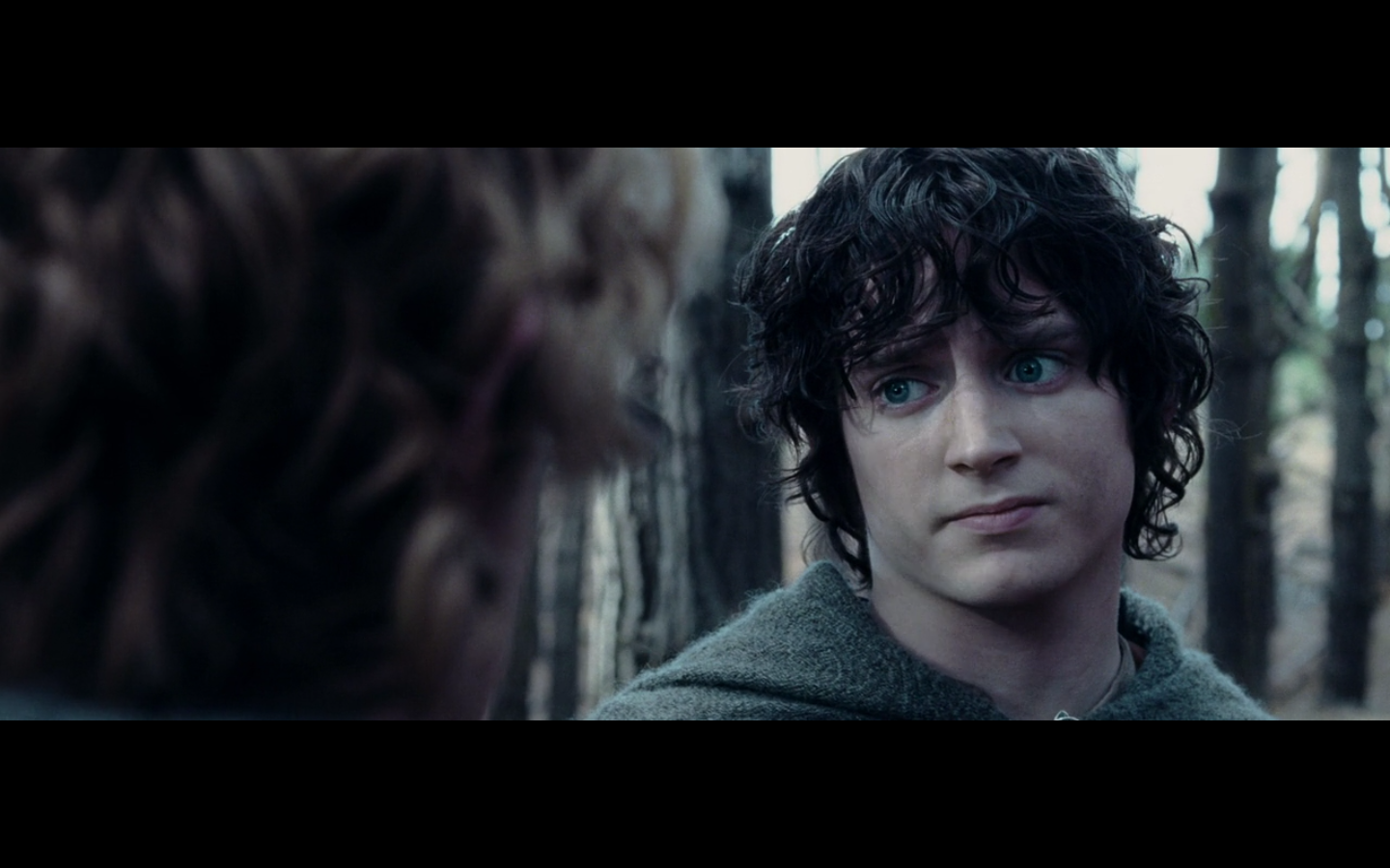 Властелин колец фродо и сэм. Почему сэм называет фродо мистер. Почему сэм называет фродо мистер. Хоббит фродо. Властелин колец фродо и сэм.