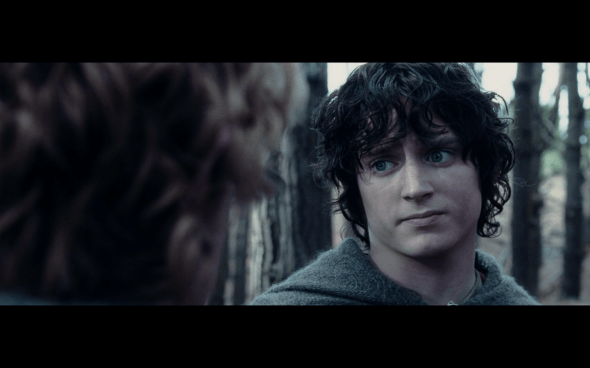 The Lord of the Rings The Two Towers - 1613