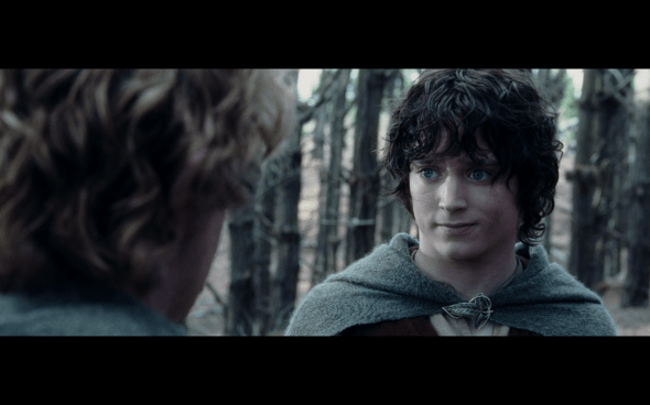 The Lord of the Rings The Two Towers - 1615