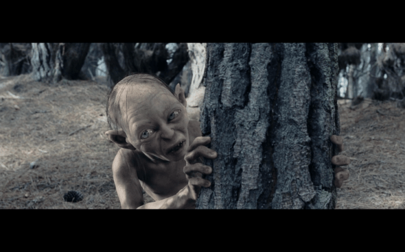 The Lord of the Rings The Two Towers - 1619