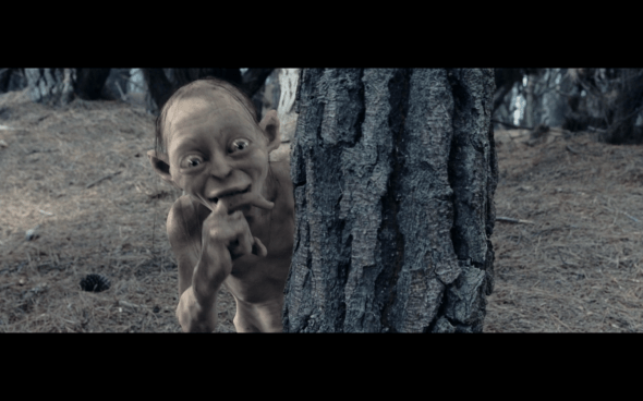 The Lord of the Rings The Two Towers - 1620