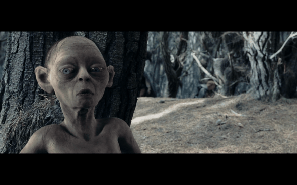 The Lord of the Rings The Two Towers - 1623