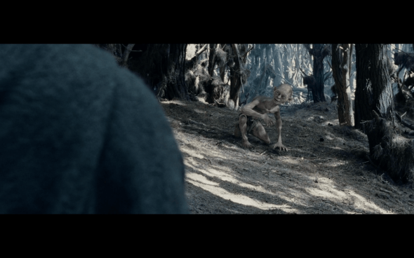 The Lord of the Rings The Two Towers - 1624