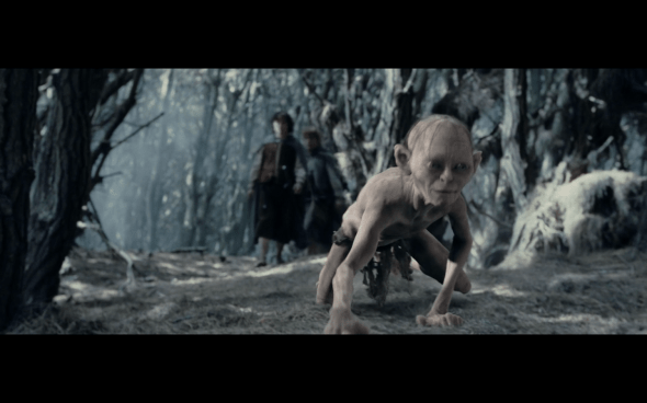 The Lord of the Rings The Two Towers - 1625