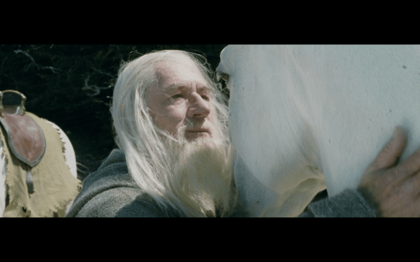 The Lord of the Rings The Two Towers - 485