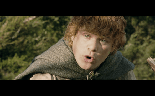 The Lord of the Rings The Two Towers - 753