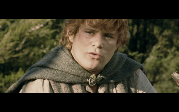 The Lord of the Rings The Two Towers - 757