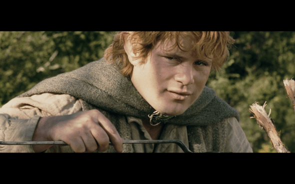 The Lord of the Rings The Two Towers - 761