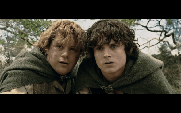 The Lord of the Rings The Two Towers - 769