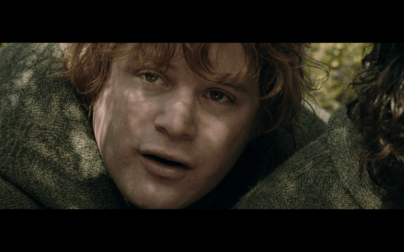 The Lord of the Rings The Two Towers - 772