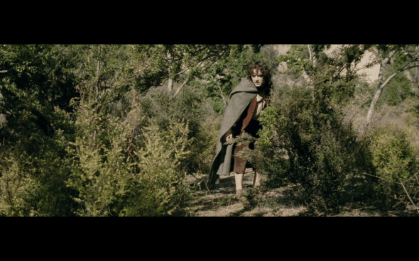 The Lord of the Rings The Two Towers - 781