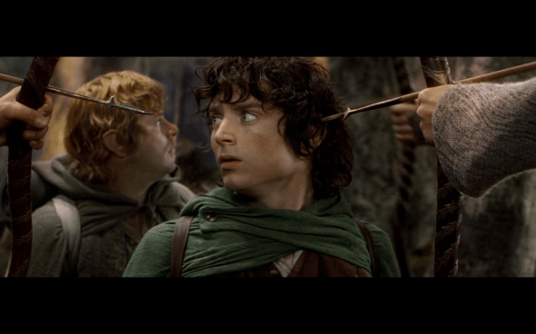 The Lord of the Rings The Fellowship of the Ring - 1701