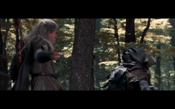 The Lord of the Rings The Fellowship of the Ring - 1705