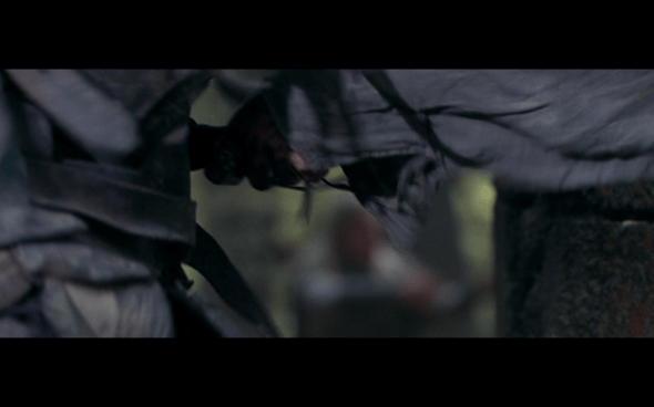 The Lord of the Rings The Fellowship of the Ring - 1710