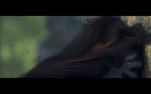 The Lord of the Rings The Fellowship of the Ring - 1713