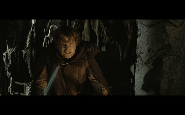 The Lord of the Rings The Return of the King - 1303