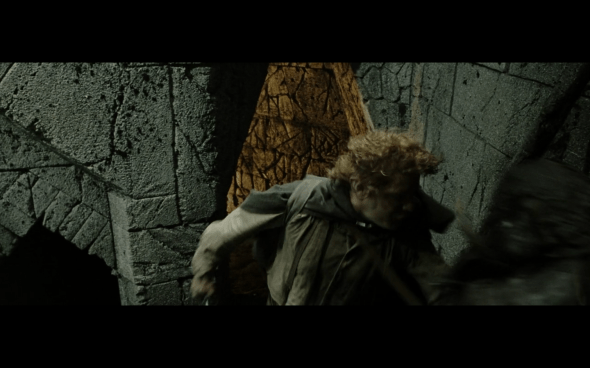 The Lord of the Rings The Return of the King - 1310