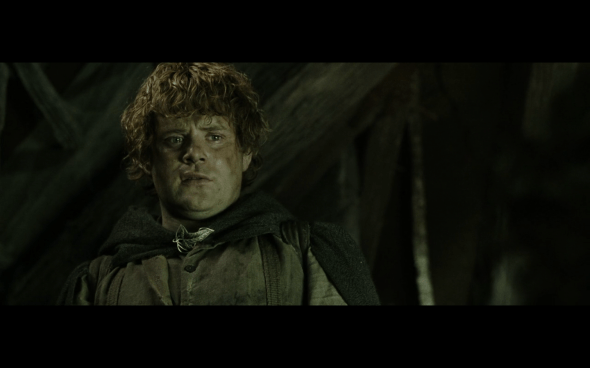 The Lord of the Rings The Return of the King - 1333