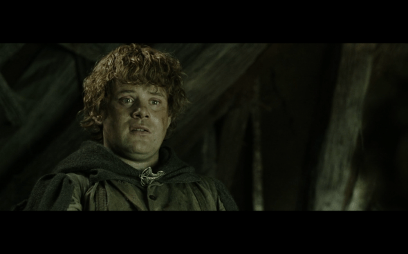 The Lord of the Rings The Return of the King - 1334