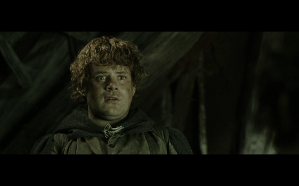 The Lord of the Rings The Return of the King - 1335