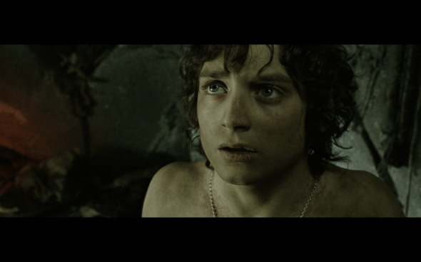 The Lord of the Rings The Return of the King - 1338