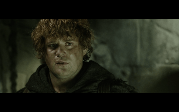 The Lord of the Rings The Return of the King - 1339