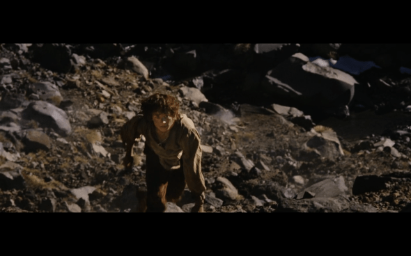 The Lord of the Rings The Return of the King - 1491