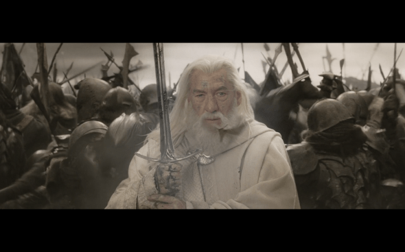 The Lord of the Rings The Return of the King - 1495