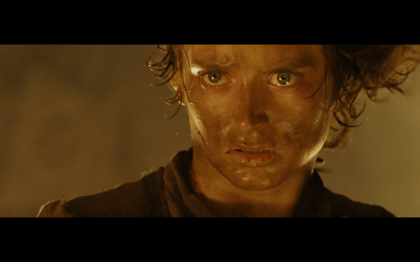 The Lord of the Rings The Return of the King - 1524