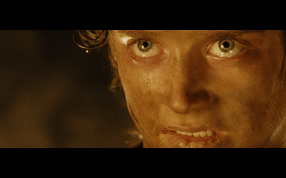 The Lord of the Rings The Return of the King - 1526