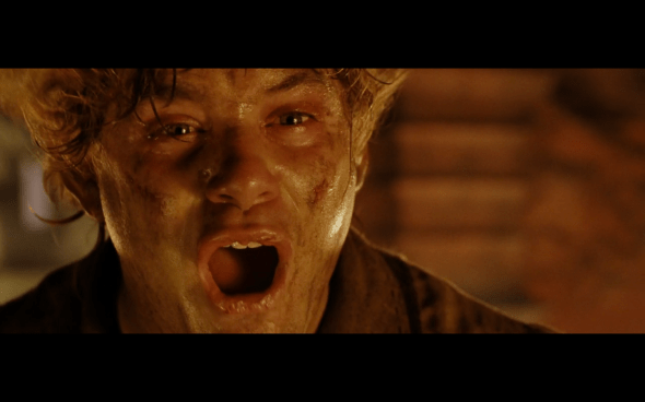 The Lord of the Rings The Return of the King - 1534