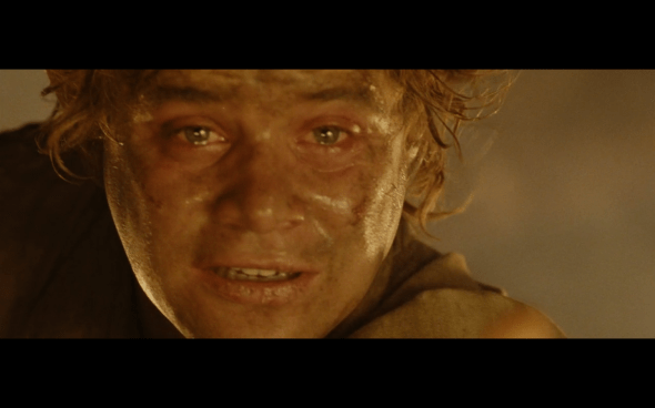 The Lord of the Rings The Return of the King - 1627